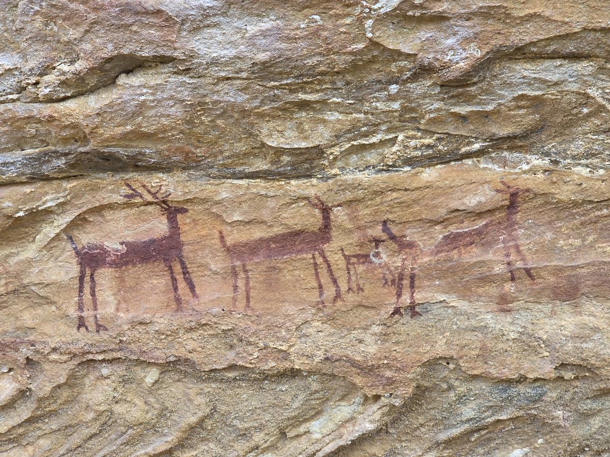 Pinturas rupestres de veados na Serra da Capivara